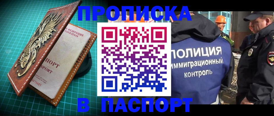 прописка в Елизово